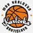 https://img.gaoliwang.com/img/basketball/team/0c2f73d2ab7041cf90029a20deff7f17.gif